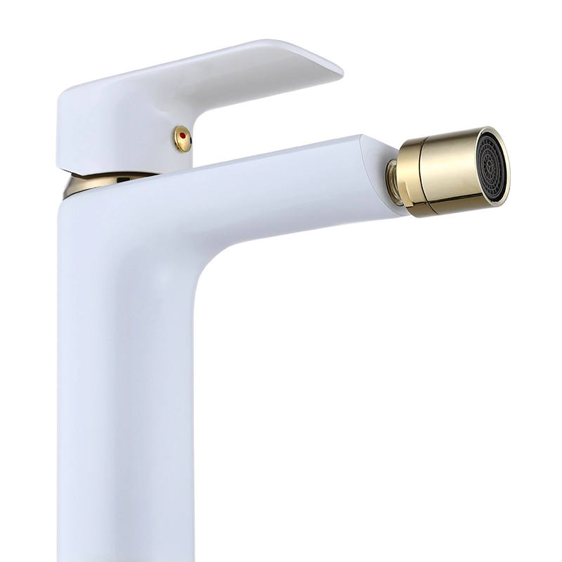 Washing Faucet Toilet Bidet Faucets For Women
